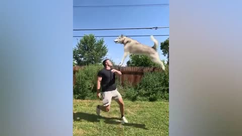 World most funny video 🤣🤣🤣