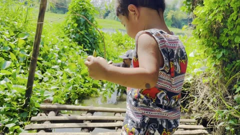 Foraging for Wild Morning Glory and Preparing it to Eat