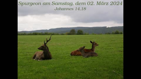 Spurgeon am Samstag, dem 02. März 2024