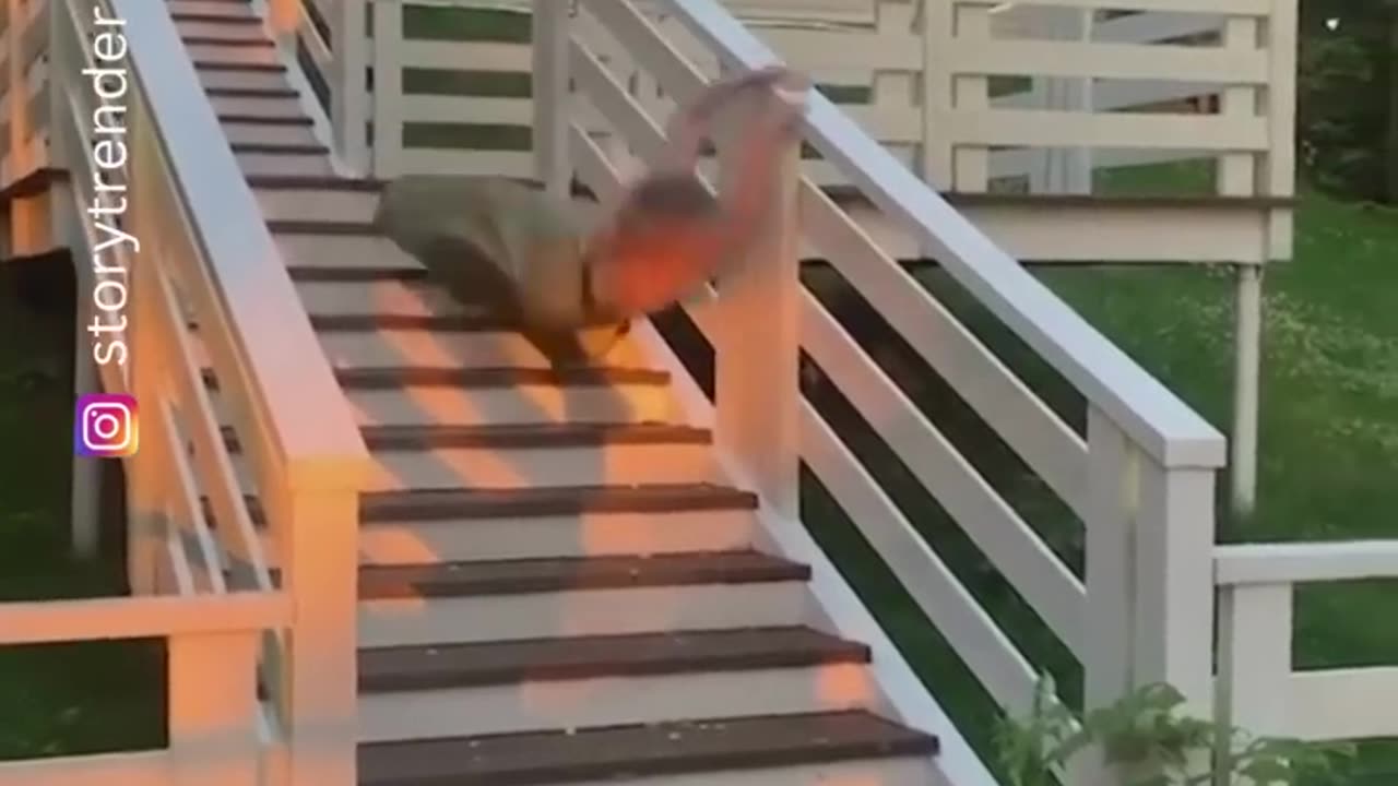 The end 😂😂😂 #funny #viral #shorts #funnyvideos #trustedhumor.mp4