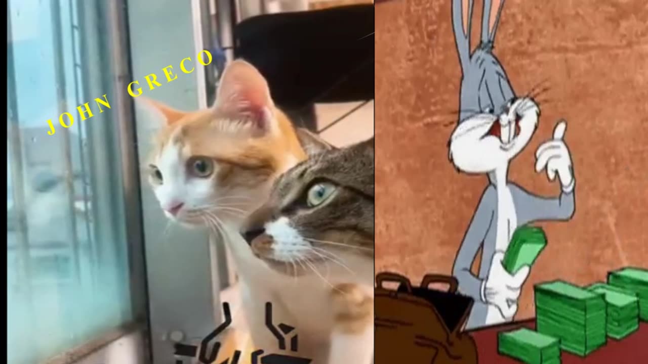 MARKET PASS....ΚΑΙ ΤΑ ΜΥΑΛΑ...ΣΤΑ ΚΑΓΚΕΛΑ🤣😂