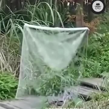 China introduced their invisible cloak👀