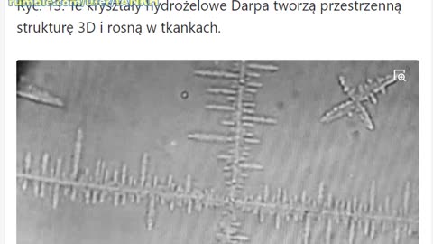 Analiza ze Słowacji patyczków testów PCR - potwierdzone ludobójstwo