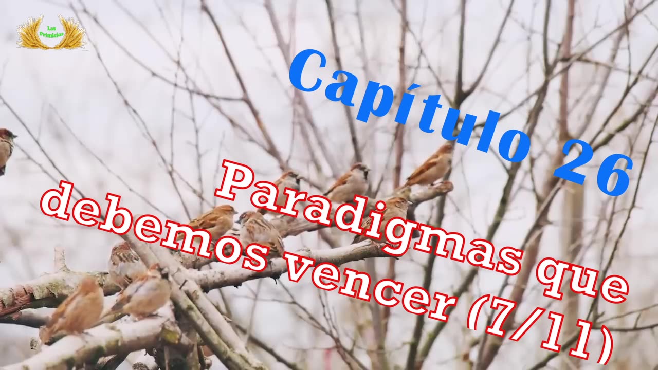 Capítulo 26 - Paradigmas a vencer (7/11)