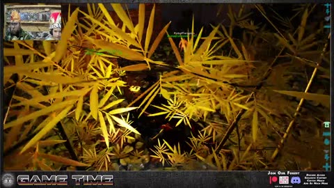 ARK SURVIVAL with supporters and friends.