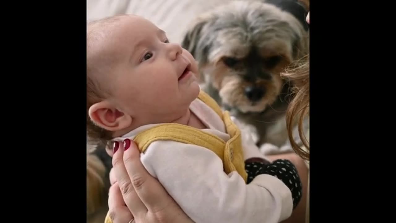 CUTE BOY PLAYING WITH HIS DOG