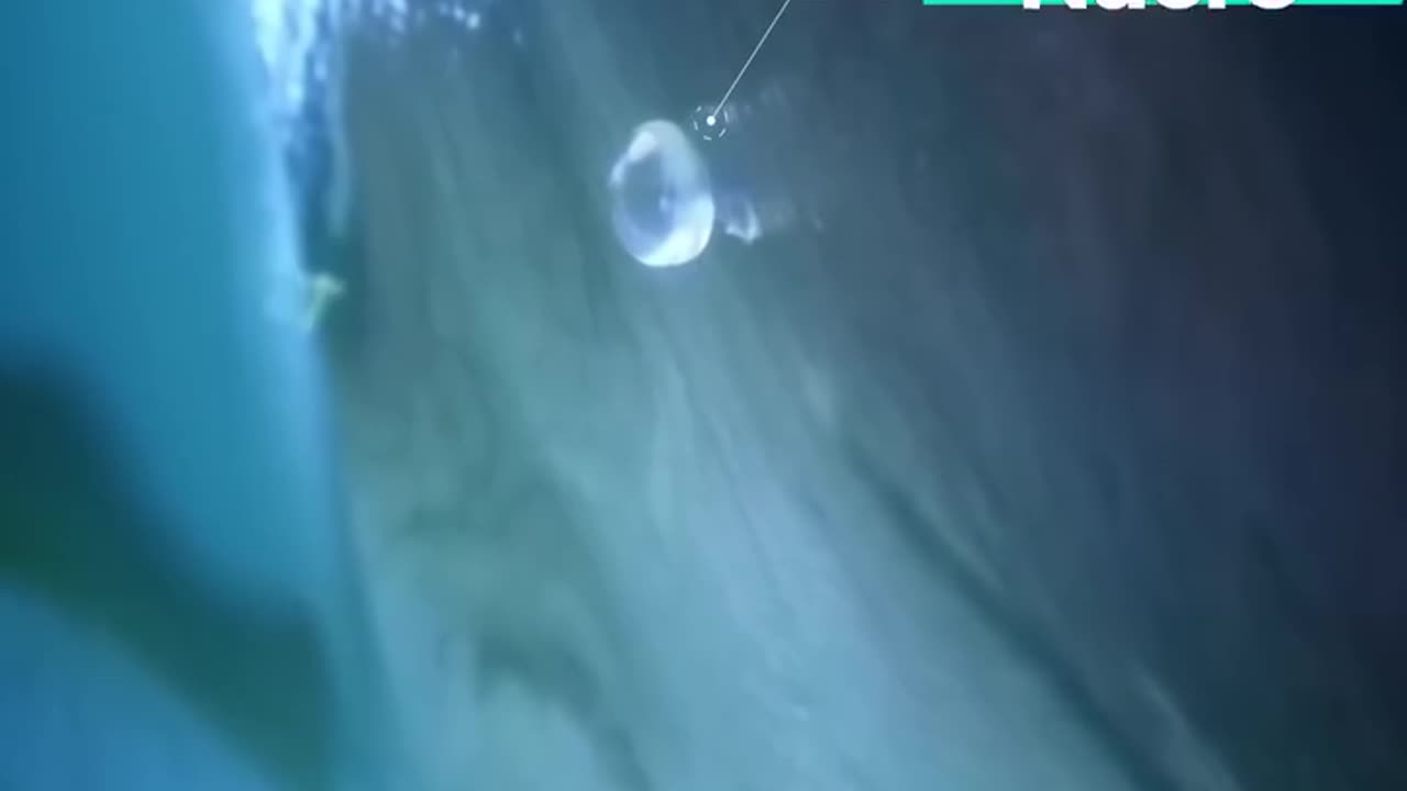 #video #viral #moti #intrasting#facts