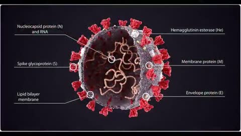 How the jab of the beast destroys the name of God that's transcribed upon your DNA