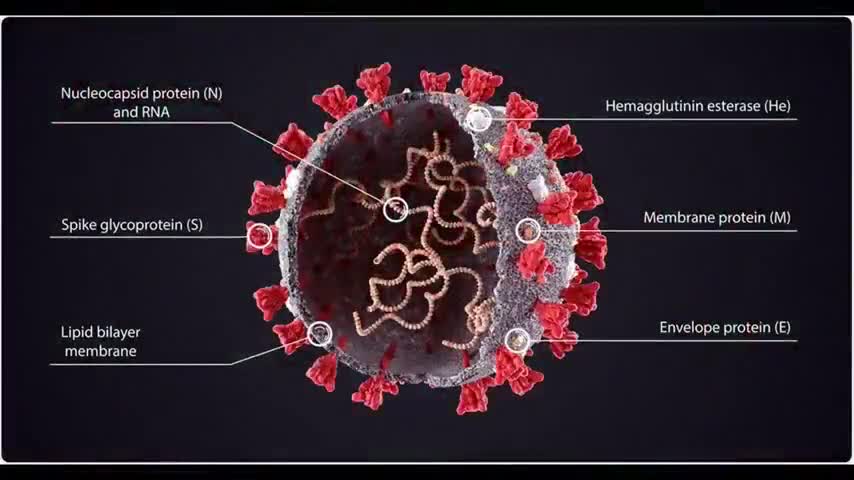 How the jab of the beast destroys the name of God that's transcribed upon your DNA