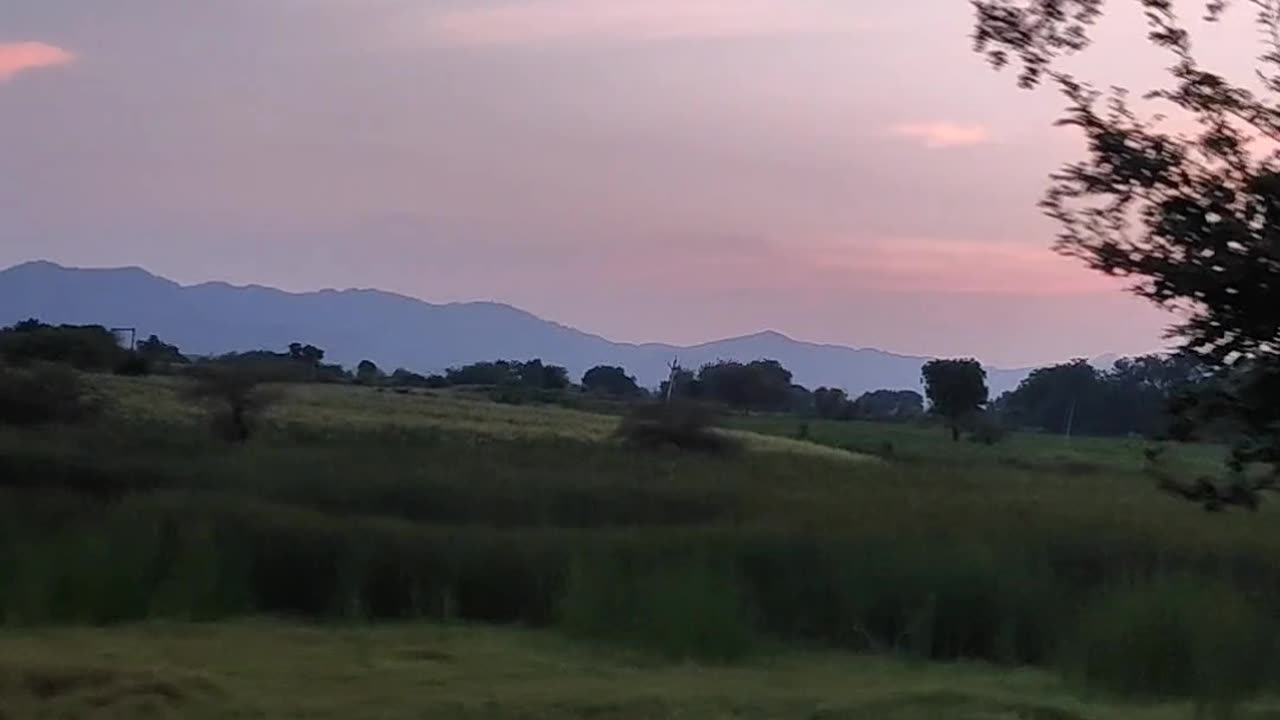 Natural Videography | NATURE