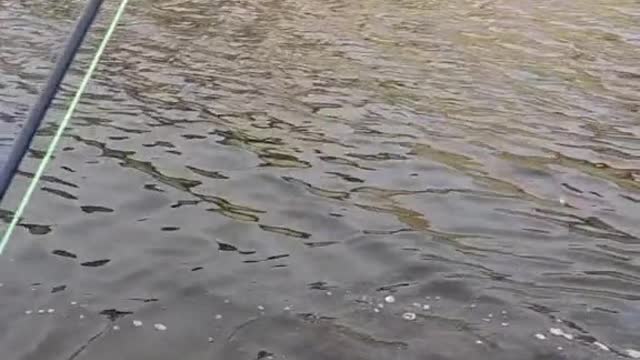 that rod bend though
