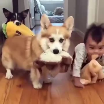 When Your Baby's Been Hangin with the Dogs a lot!