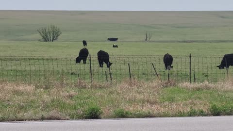 OKLAHOMA USA