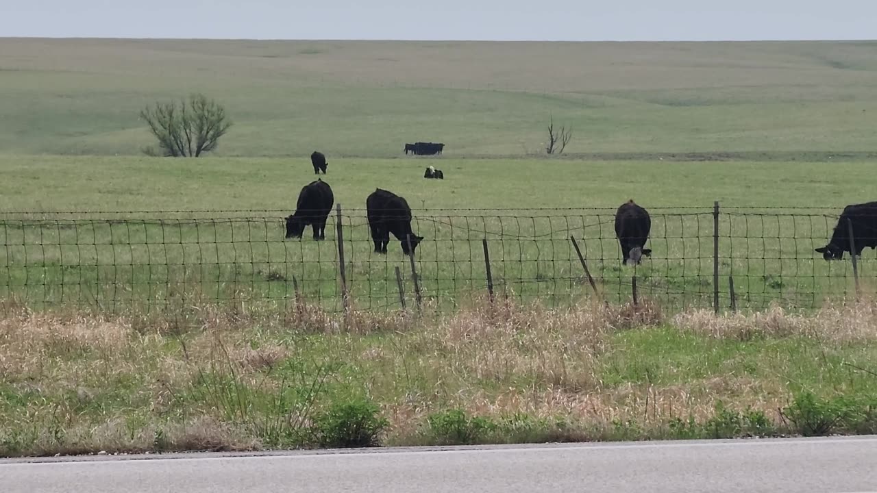 OKLAHOMA USA