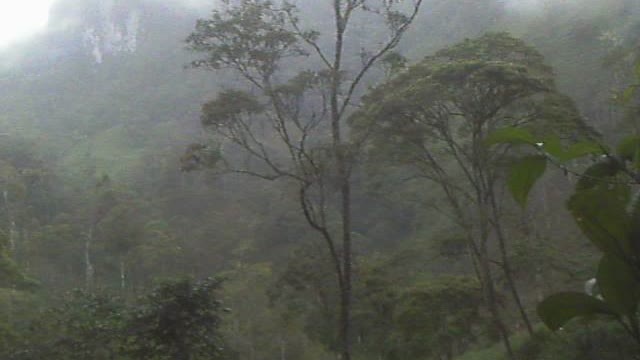 Pena Blanca (white mountain) 3+ hours into Chiviaza jungle