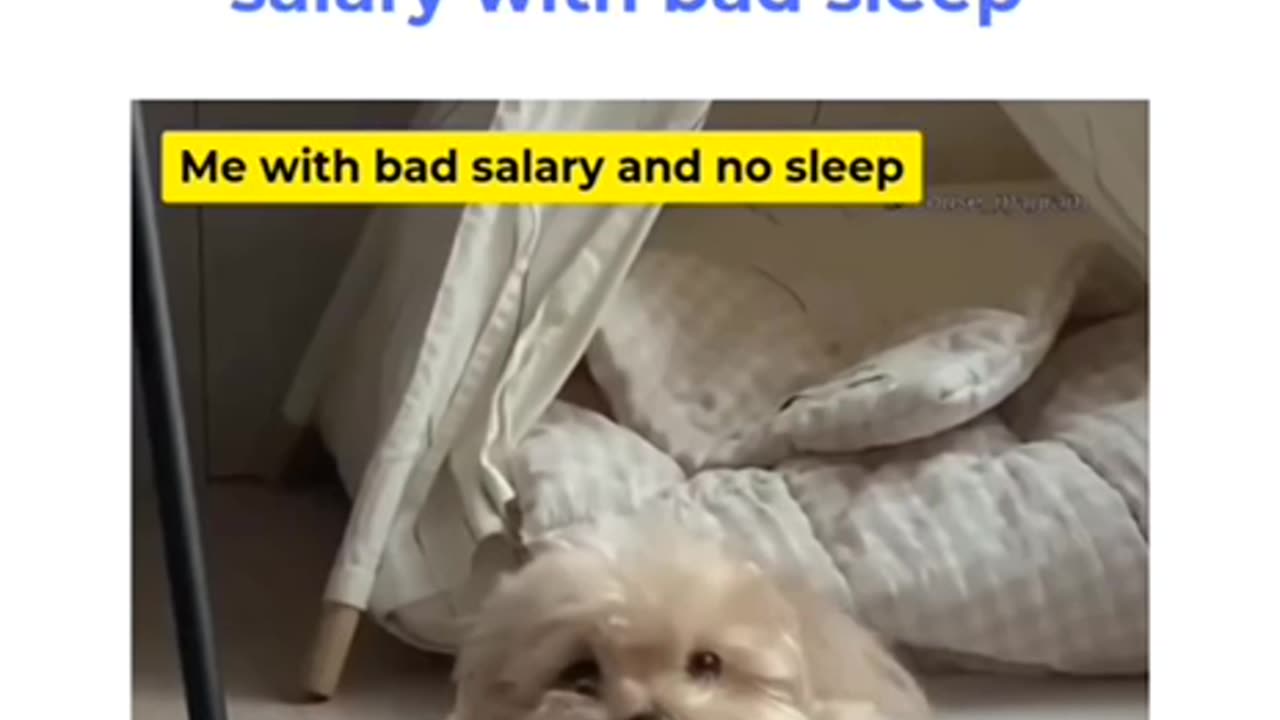 Less salary with good sleep