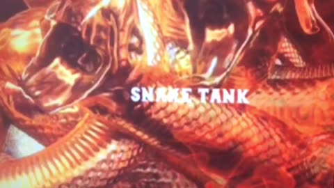 SNAKE TANK - 2023