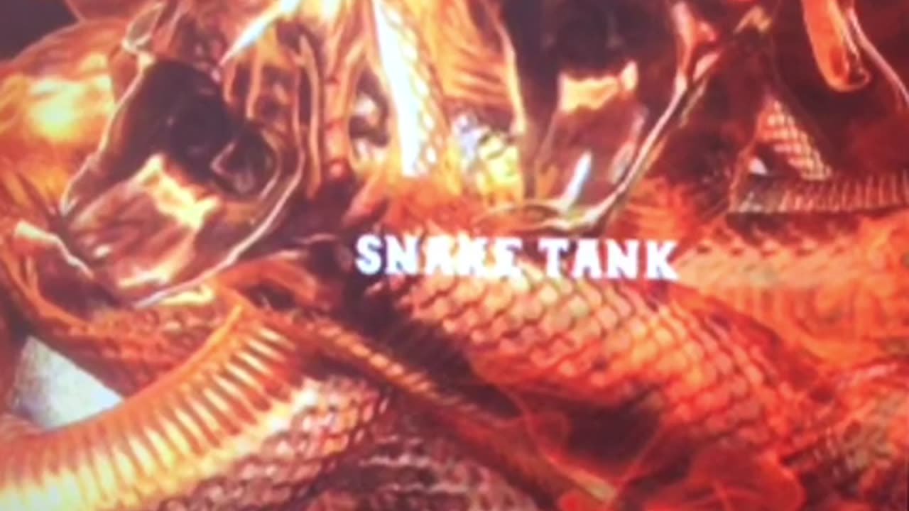 SNAKE TANK - 2023