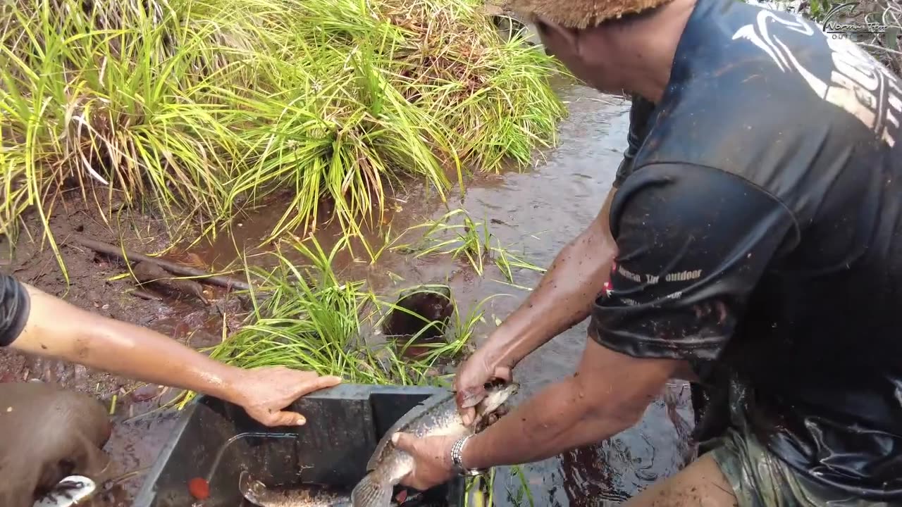 God's hand technique, the fish here seem to emerge from the earth