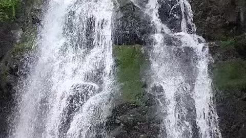 Swan Flat Falls