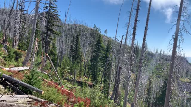 Central Oregon - Mount Jefferson Wilderness - Ridgeline View of Wasco Lake