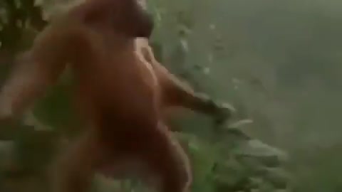 Cute and adorable animal behavior makes anyone happy to see it