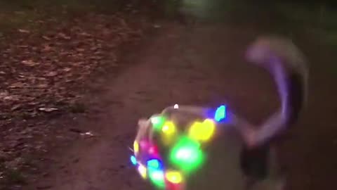 Light Dog Dance