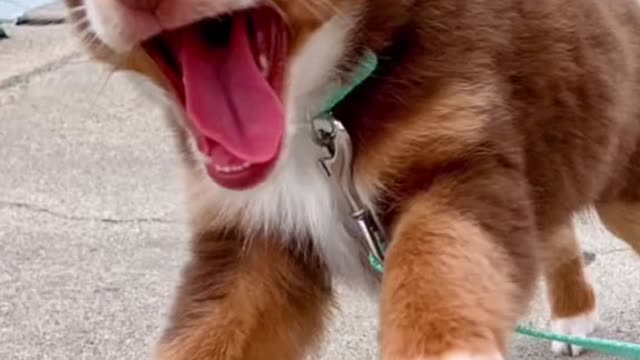 And it went like 📸