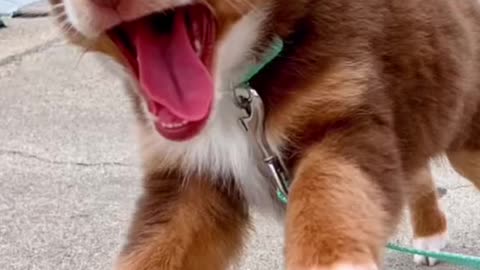 And it went like 📸