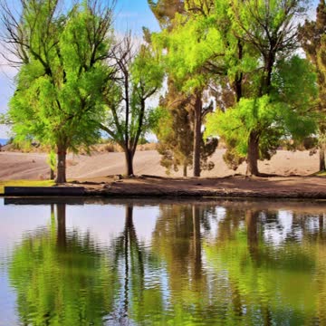 Gone Fishin at Tule Springs
