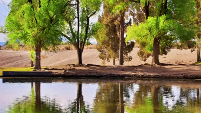 Gone Fishin at Tule Springs