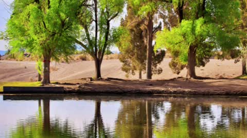 Gone Fishin at Tule Springs