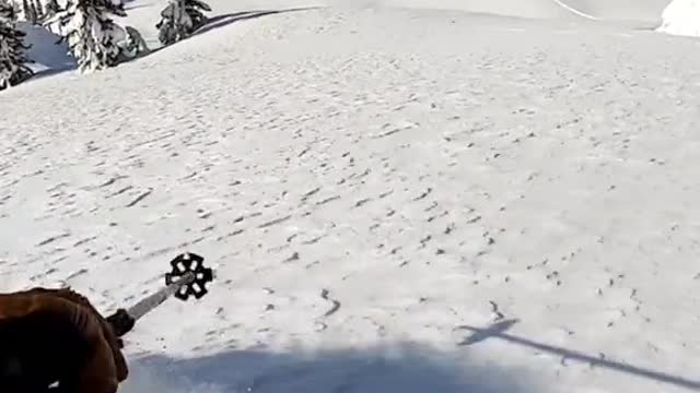 Hard to look away when legend Sage Cattabriga Alosa is at play!! 🥵