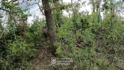 Ukrainians Eject Russians from Forest Strip Near Bakhmut