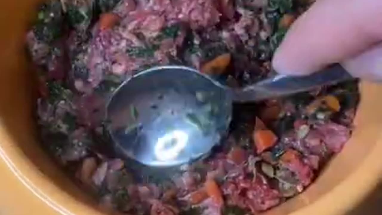 "Ultimate Dog Food Bowl ASMR: Blissful Sounds for Your Furry Friend's Feast"