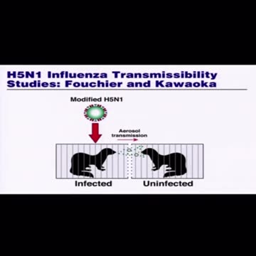 Dr Fauci Lied About NIH NEVER Funding Gain-of-Function Research