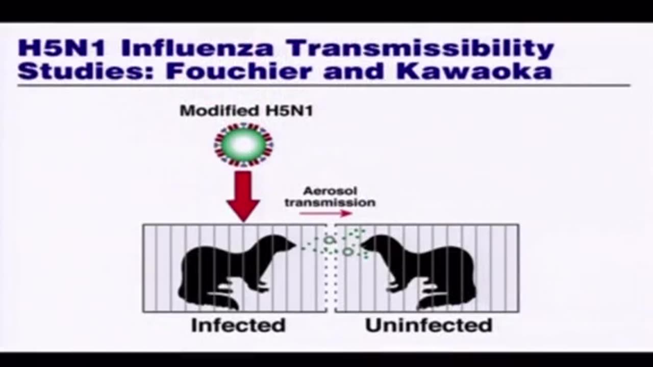 Dr Fauci Lied About NIH NEVER Funding Gain-of-Function Research