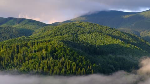 Four Season inside your mind, Piano Relaxing Music with nature sounds for Stress Relief And Healing