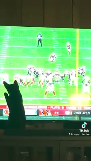 armchair quarterback