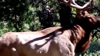 Hunter Aron The tank is coming#deerhunting #huntingseason #deer #bowhunter #archeryhunting #fyp