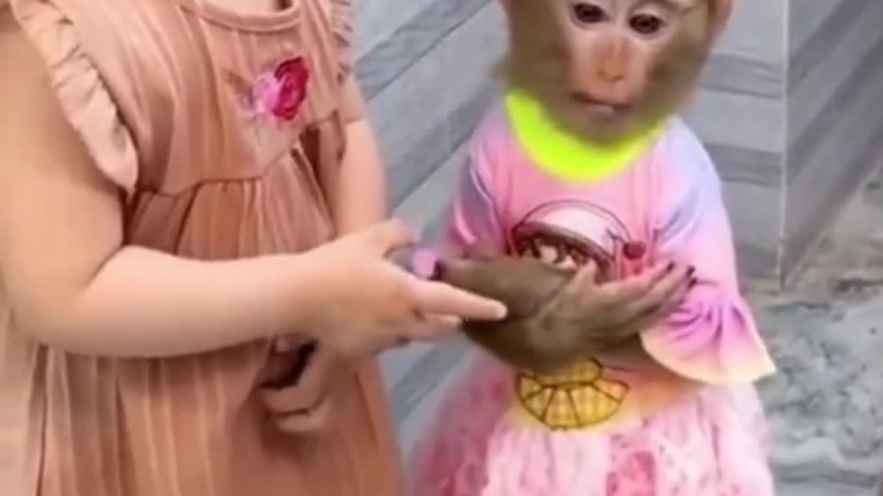 monkey and baby