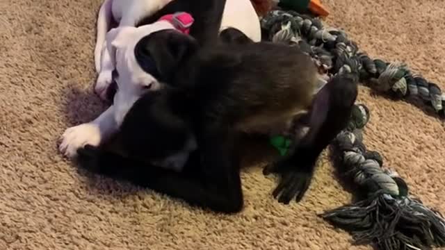 This sharing thing is hard work 🙄