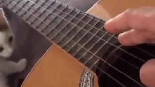 Pleasant Guitar Sound ... SUCH A WOOOOOW