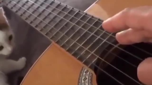 Pleasant Guitar Sound ... SUCH A WOOOOOW
