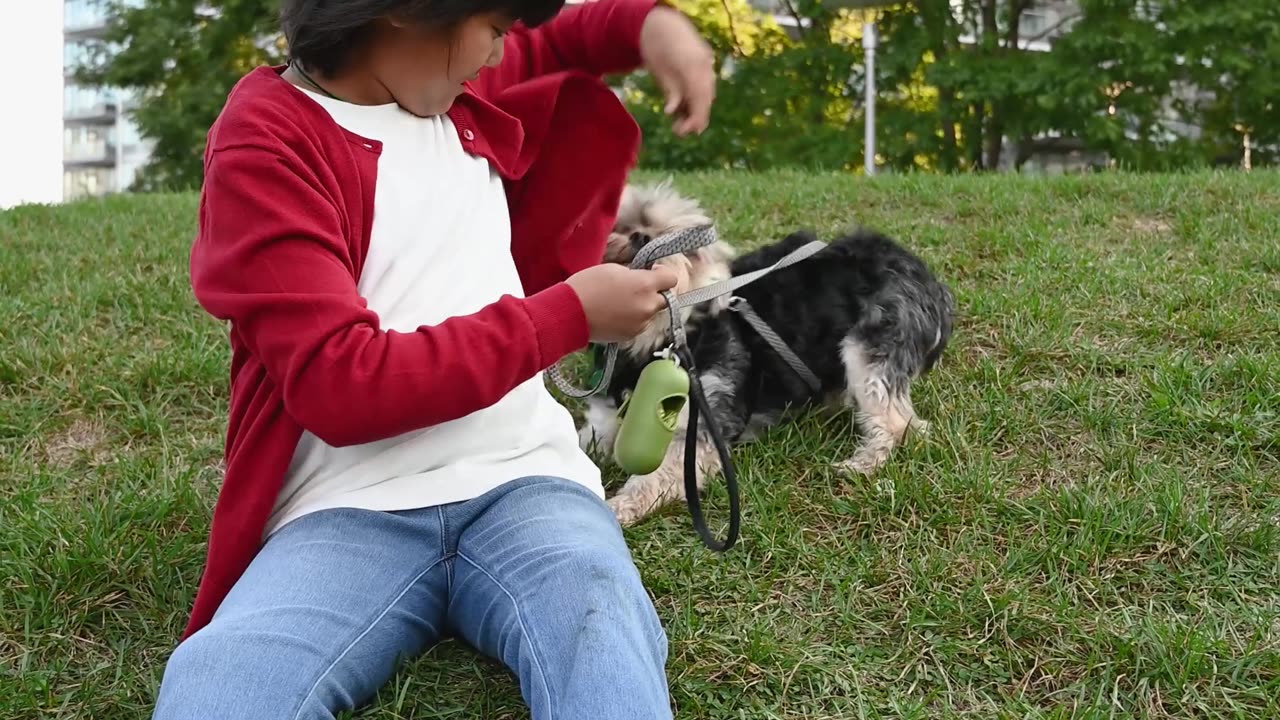 Boy playing with dog