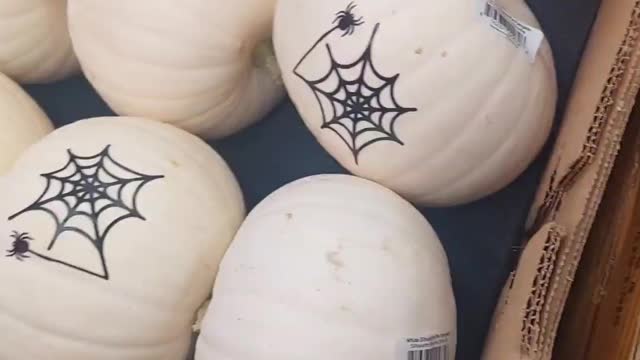 Pumpkins for Lazy People!