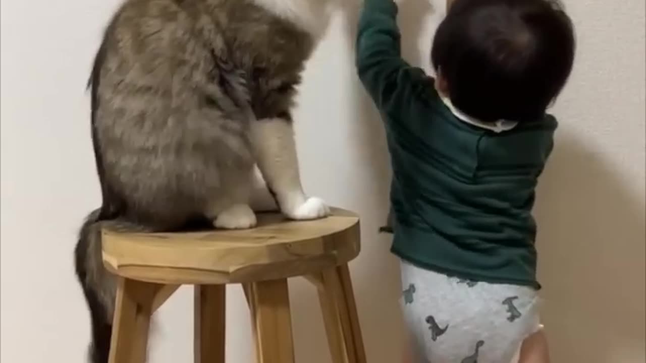 Cat Blocks Little Boy's Door Opening Attempts