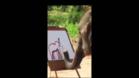 Elephant Paints Himself