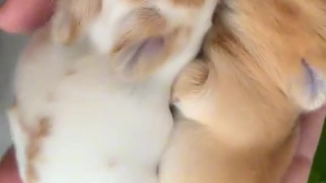 Awe ❤️