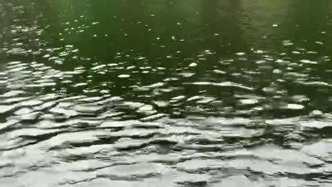 Patriot Fishing part 4-2